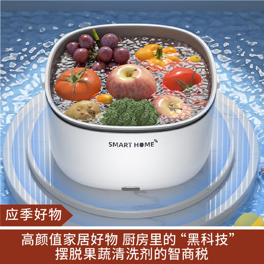 【应季好物】果蔬清洗器 带电池 商品图0
