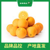 PAGODA百果园 秭归脐橙（伦晚）5斤精品礼盒装（大，单果径75mm-85mm） 商品缩略图3