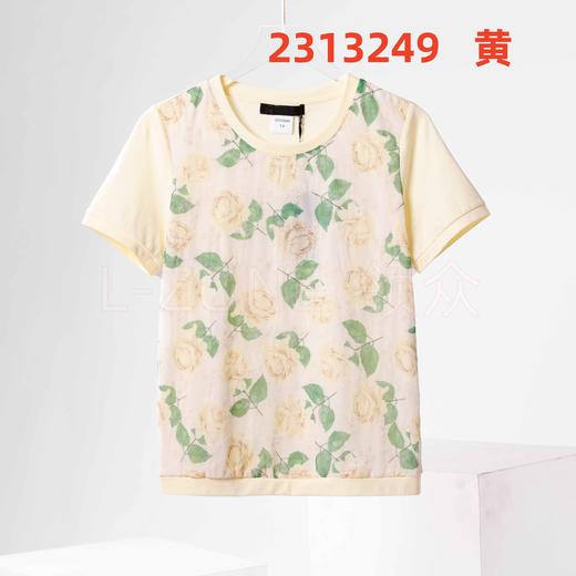 女短袖T3249 商品图1