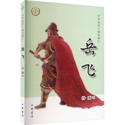 岳飞 商品图0