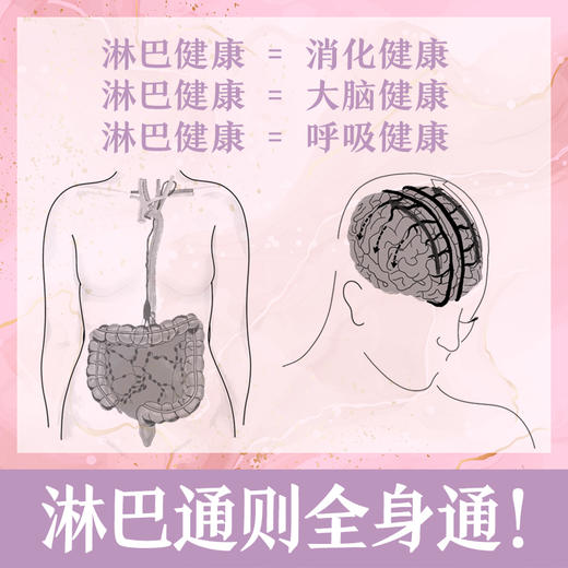 神奇的淋巴疗愈 丽莎莱维特盖斯莉著 每天五分钟淋巴按摩 激活身体内在潜能 解锁淋巴疗愈力 商品图2