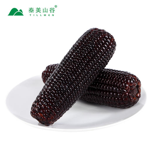 【有机黑玉米】6/8/10支装 软糯香甜 有机基地种植 商品图5