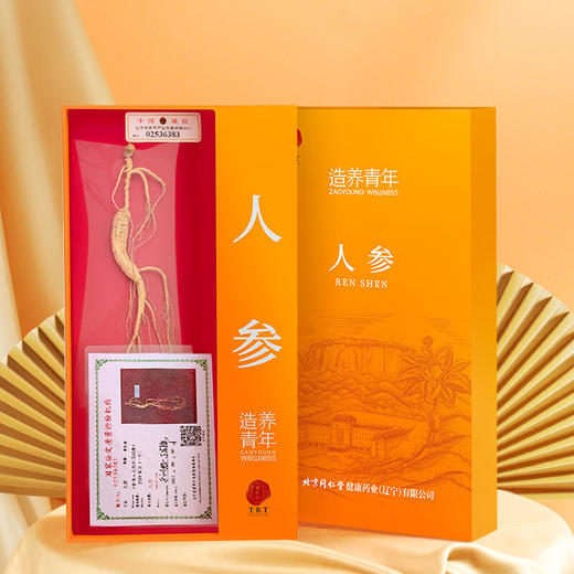 【正宗同仁堂品牌】北京同仁堂 人参11g 送礼盒 长白山人参 养生滋补 单支人参SY 商品图5