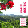 成有王记 冰杨梅汁（冷冻款）380ml*6 商品缩略图1