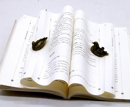 毛边本：《周汝昌致梁归智书信笺释》，平装，周汝昌著，梁归智笺释，三晋出版社2017年版，定价68，售价65元。 商品图5