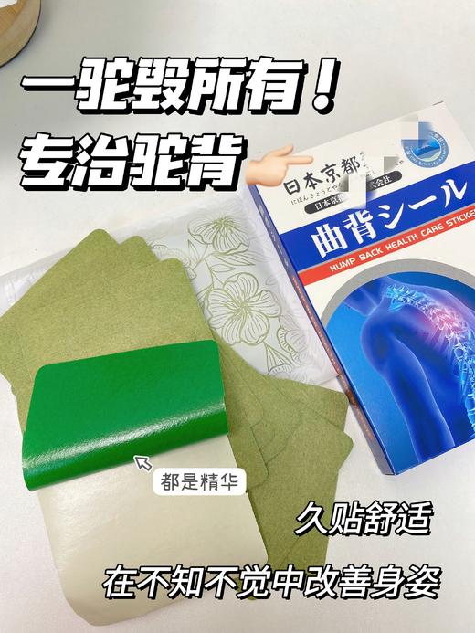 【应季好物】日本京都yao业曲背贴10贴/盒*5盒 商品图2