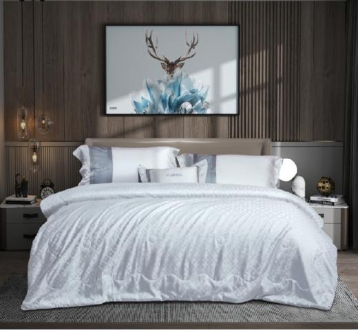 【团购展示】富安娜 丽妍-蚕丝夏被 商品图0