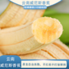 蚂蚁兄弟云南威尼斯香蕉 肉质细腻  香甜软糯  口齿留香 商品缩略图0