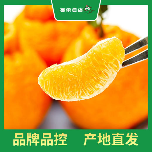 PAGODA百果园 不知火·丑橘5斤彩箱装±0.1（大果，果径80mm-85mm） 商品图4