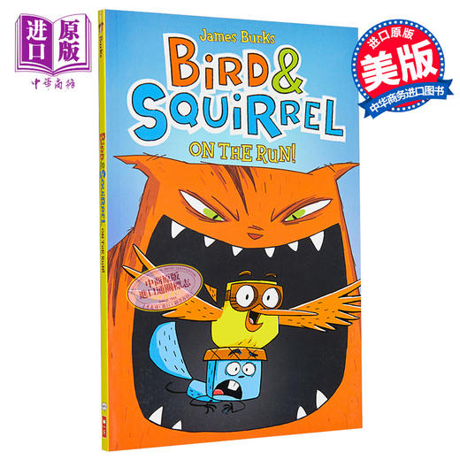 【中商原版】Bird & Squirrel on the Run英文原版进口 学乐小鸟和松鼠1 儿童课外阅读 图像小说图画故事章节书全彩漫画7-10岁 商品图0