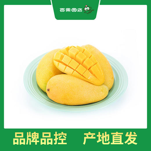 PAGODA百果园 大金煌芒5斤普通装（单果重≥400g） 商品图0