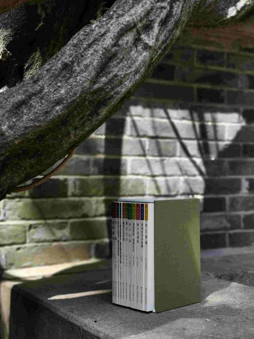 《艺文丛刊》第六辑，盒装全12册，平装32开，浙江人民美术出版社，定价388元，售价291元。 商品图2