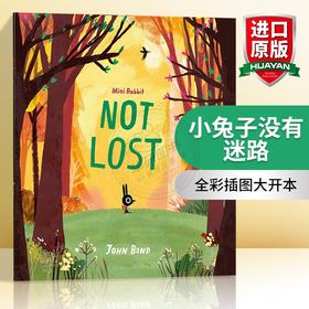 Collins柯林斯 小兔子没有迷路 英文原版 Mini Rabbit Not Lost 儿童英语启蒙故事绘本 英语阅读 英文版进口 全彩插图大开本 John Bond