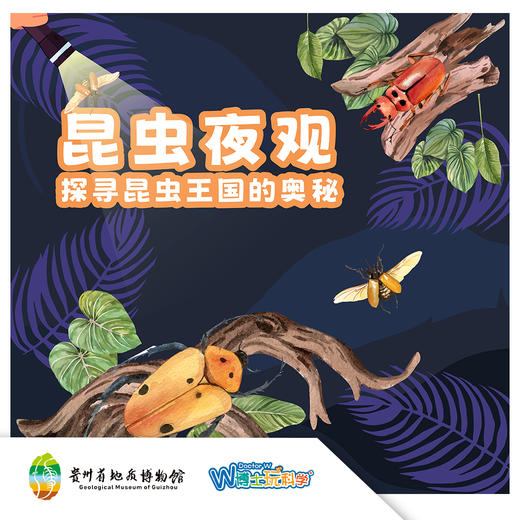 贵地博|昆虫夜观·探寻昆虫王国的奥秘 商品图0