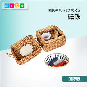 AMI教具 磁铁