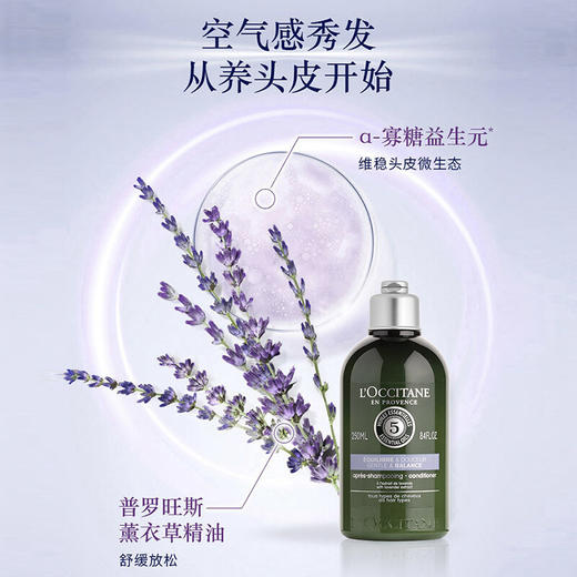 法国欧舒丹5合1草本菁纯平衡护发素250ml/117683 普罗旺斯薰衣草精油舒缓放松 商品图1