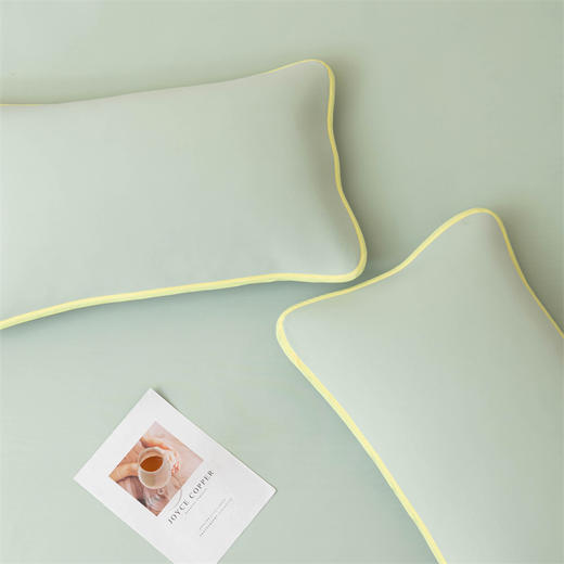 顶柔奶酪雪糍凉感软凉席三件套 商品图3