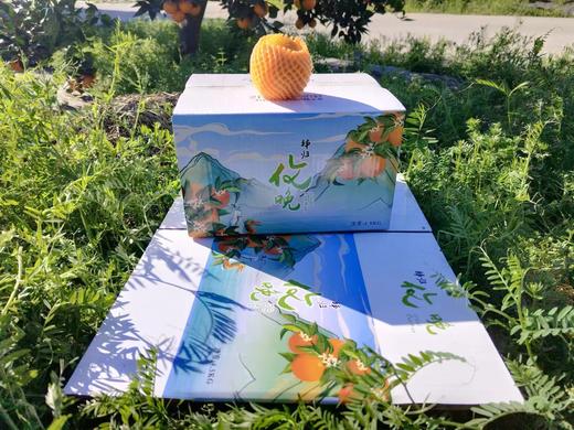 PAGODA百果园 秭归脐橙（伦晚）5斤彩箱装（中，单果径65mm-75mm） 商品图2