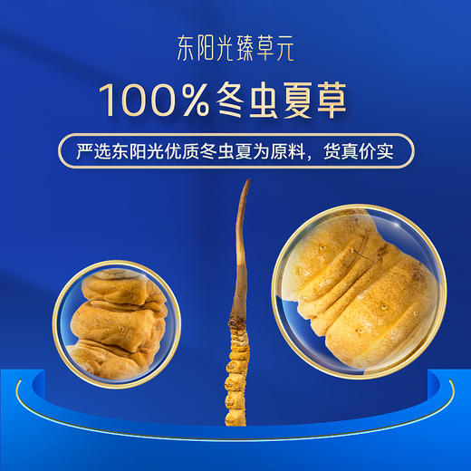 东阳光臻草元 虫草含片 高端滋补送礼 小灯泡三瓶装 商品图3