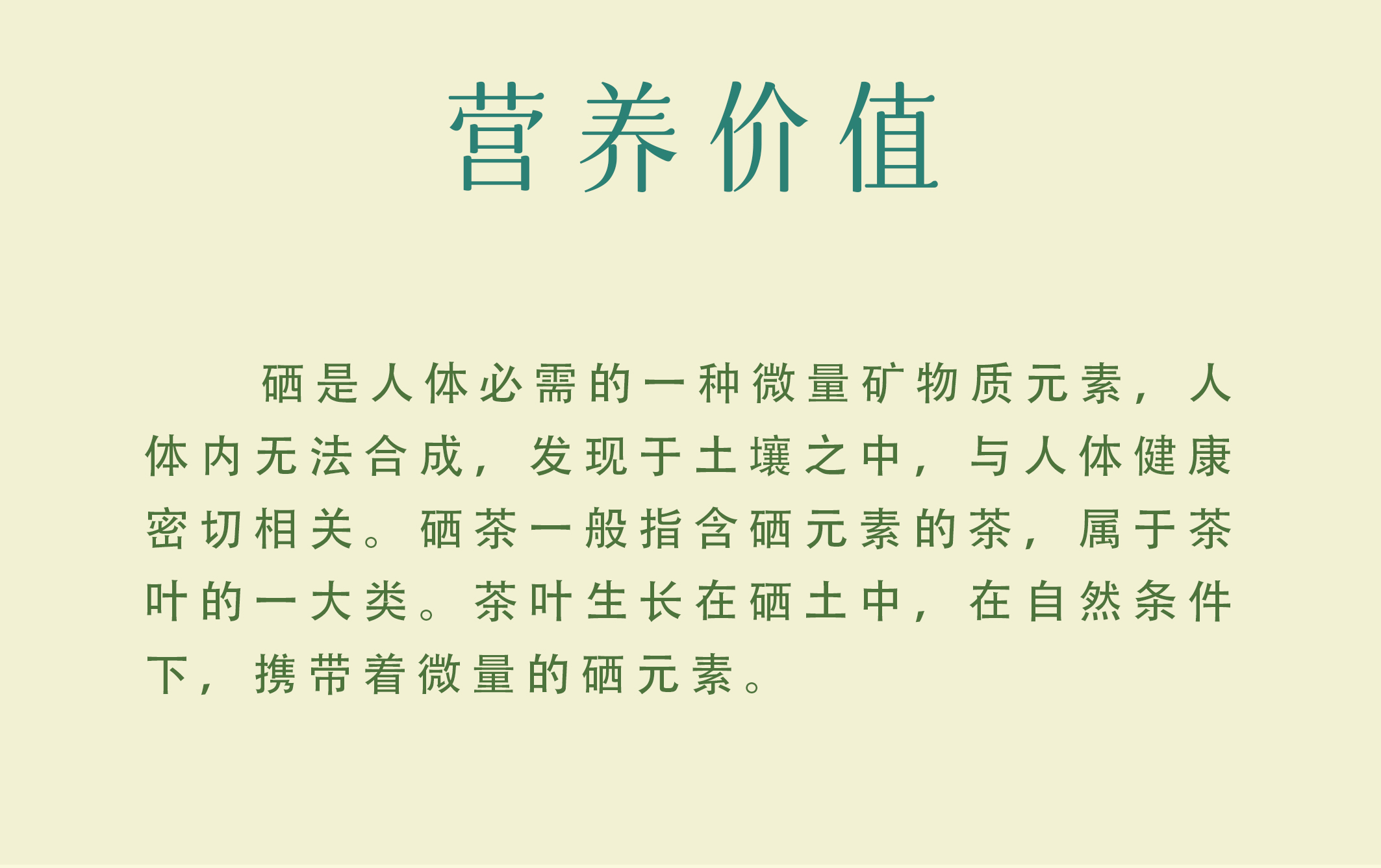 【石台硒茶】芽叶肥嫩 清香高长 汤色黄绿500g