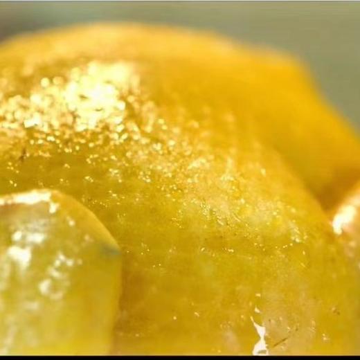 细骨原种小母鸡 商品图2