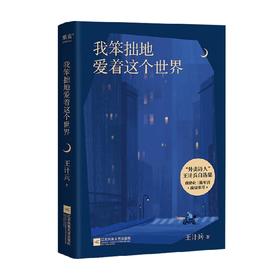 我笨拙地爱着这个世界 王计兵 著 文学
