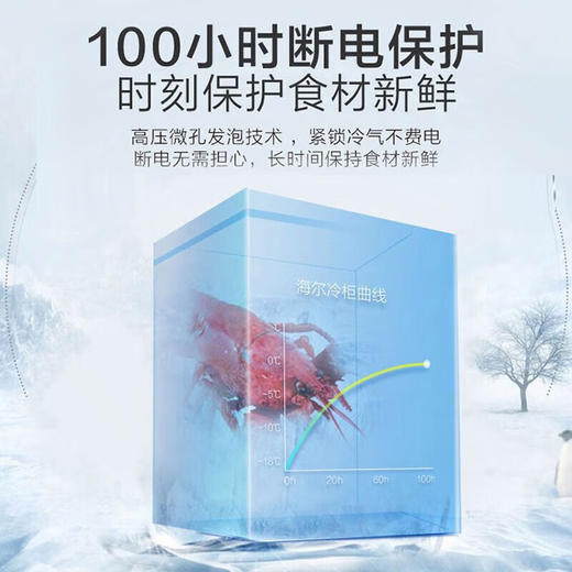 【海尔BC BD—142】海尔（Haier）出品leader 142升冰柜家用小型卧式冷冻冷藏转换一级能效节能保鲜卧式冷冻柜BCBD-142GL 商品图4