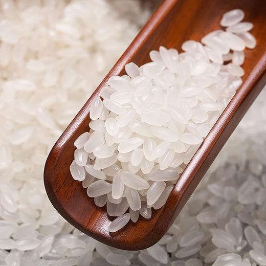 邻家饭香 东北大米 长粒香 500g/袋 黑土地种植 一年一季LJFX13-C 商品图3