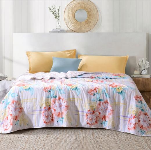 【团购展示】富安娜七孔抗菌印花夏被-淡雅茗香 商品图0