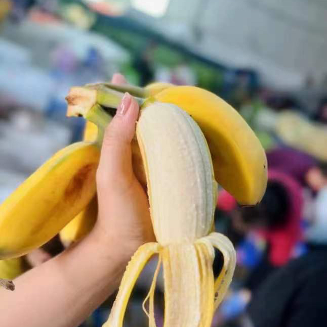 周五送，苹果蕉🍌香蕉界的萌宠，真的有苹果香味哦，软糯香甜 肉质饱满 ，一口下去感受绵密细腻 还有一股清香在口中蔓延！注意哦~苹果香蕉是新鲜采摘收到是青色的 需要放几天变黄了再吃😋一箱净重3斤左右