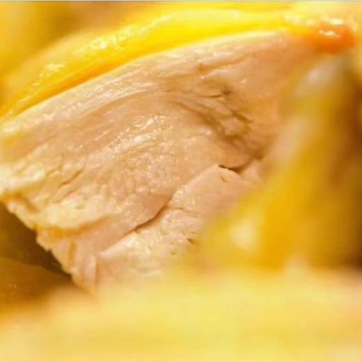 细骨原种小母鸡 商品图3