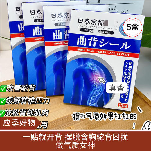 【应季好物】日本京都yao业曲背贴10贴/盒*5盒 商品图0