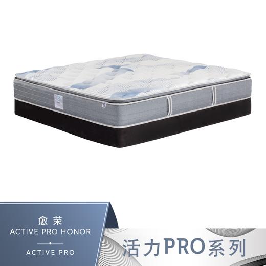 Sealy丝涟床垫 活力加 愈荣 商品图0