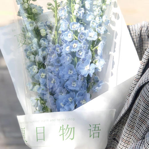 鳳朝阳 商品图0