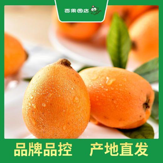 PAGODA百果园 米易枇杷3斤彩箱装（中果，单果重30g-45g） 商品图3