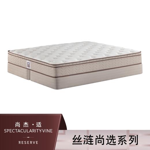 Sealy丝涟床垫     尚杰 适 Spectacularity Vine 商品图0