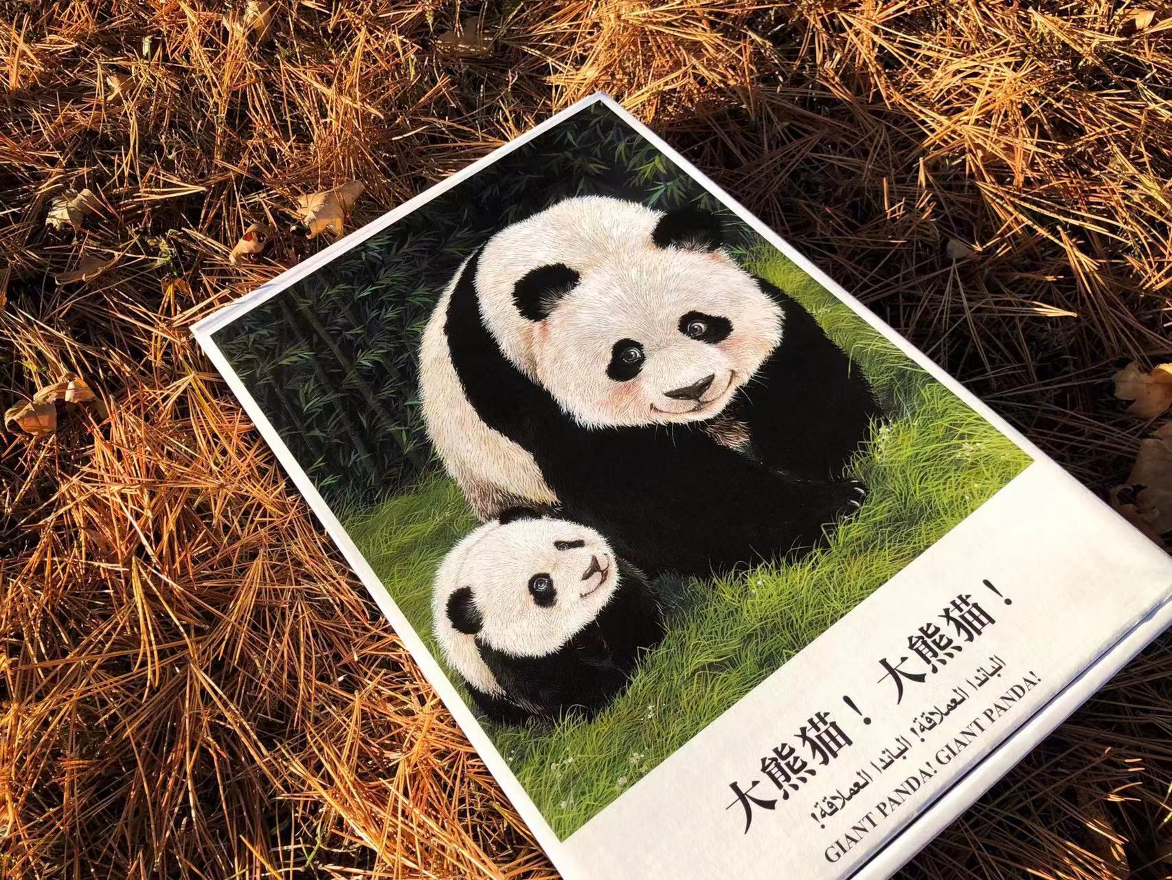 大熊猫！大熊猫！