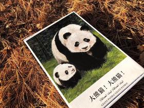 大熊猫！大熊猫！