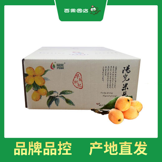 PAGODA百果园 米易枇杷3斤彩箱装（中果，单果重30g-45g） 商品图4