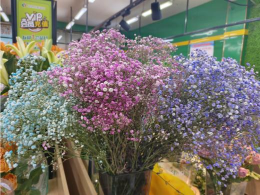 满天星一束（拼团） 商品图1