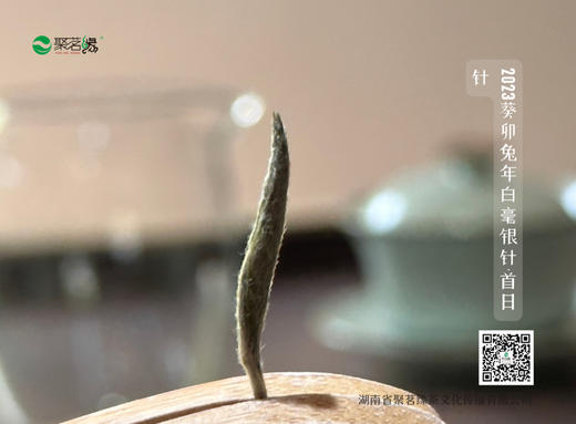 福鼎白茶｜传家宝·白毫银针（2023葵卯兔年开园首日针）老树银针，珍稀品质，芽头肥壮，白毫满披，毫香蜜韵，自然清新，香清甘甜，享有杯中“美人”，茶中“女王”之美誉，宜藏宜品宜礼宜传家，净含量：500g 商品图4