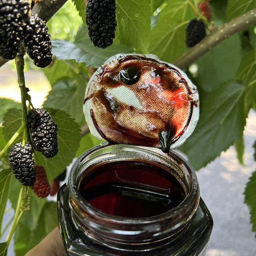 攀枝花原味桑葚膏，原汁熬制，零添加，口感醇正 商品图3