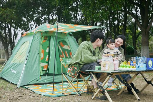 Diplomat外交官户外系列-帐篷DHW-7101洛登绿（3-4人） 商品图2