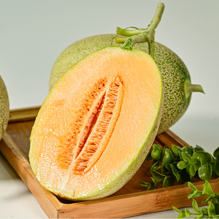 海南海沙蜜瓜【精选头茬超级蜜瓜，一藤一瓜】