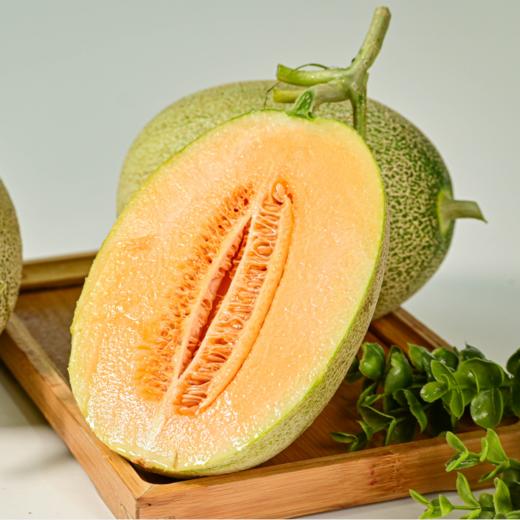 海南海沙蜜瓜【精选头茬超级蜜瓜，一藤一瓜】 商品图0