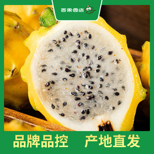 PAGODA百果园 燕窝果（大果）4斤礼盒装（单果重200-250） 商品图1