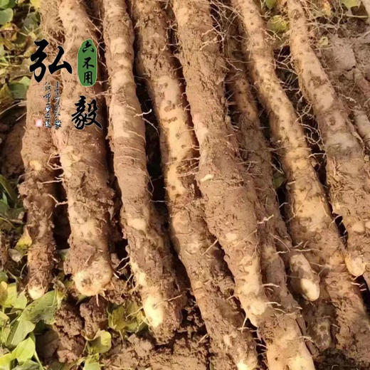 【弘毅六不用生态农场】六不用山药片（去皮）怀山药片 商品图5