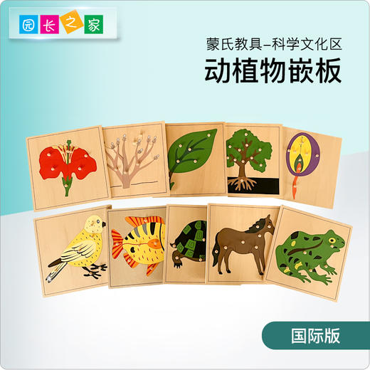 AMI教具 蒙氏动植物嵌板 商品图0