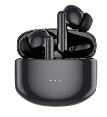 【团购展示】德国巴赫 T5ANC主动降噪无线蓝牙耳机 商品图0