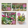 第一次打造花园就成功 花坛小景与组合盆栽 井上真由美 著 家居 商品缩略图3